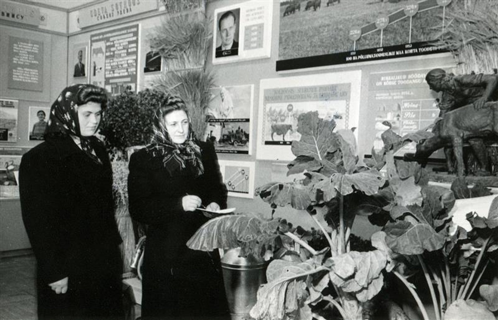 OLID AJAD! Kunstisaalis näidati vorste ja kapsaid. Hipodroomil ammusid lehmad ja röhkisid sead