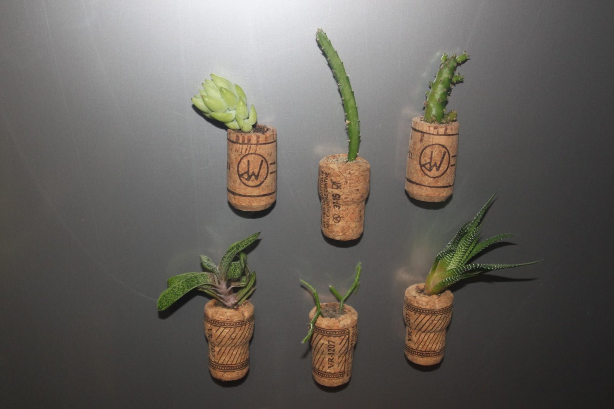 Valmista veinikorkidest ja pisikestest kaktustest külmkapimagnetid