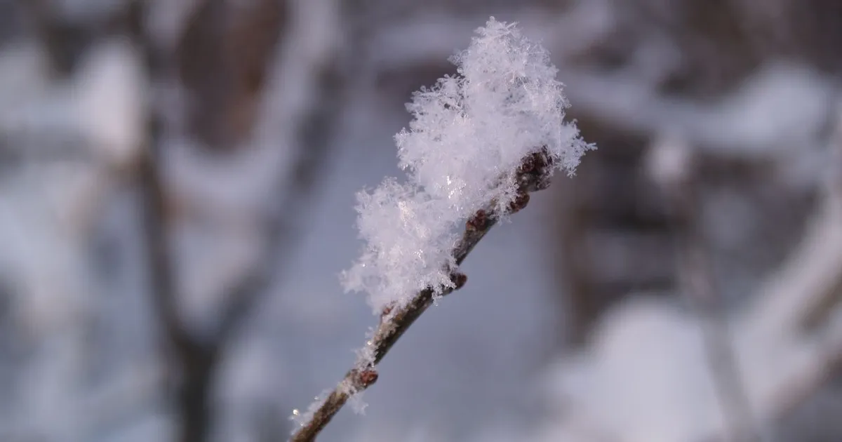 LOODUSKALENDER ⟩ Ükskord läheb ikka külmaks!