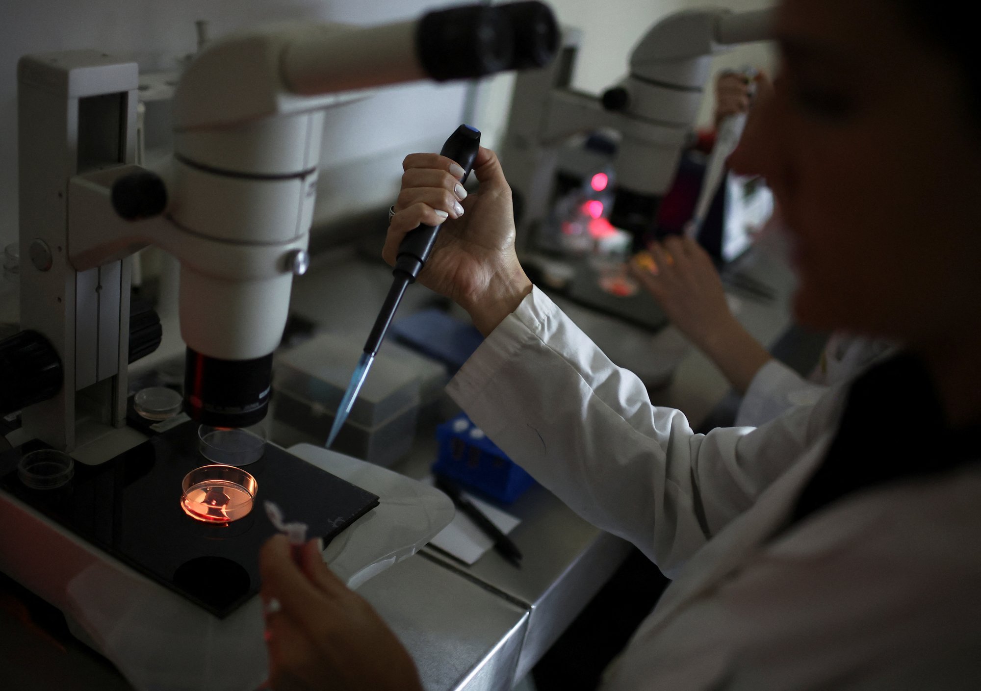 Keelud ei pidurda. Tehnomiljardärid tahavad hakata tootma geenmuundatud beebisid