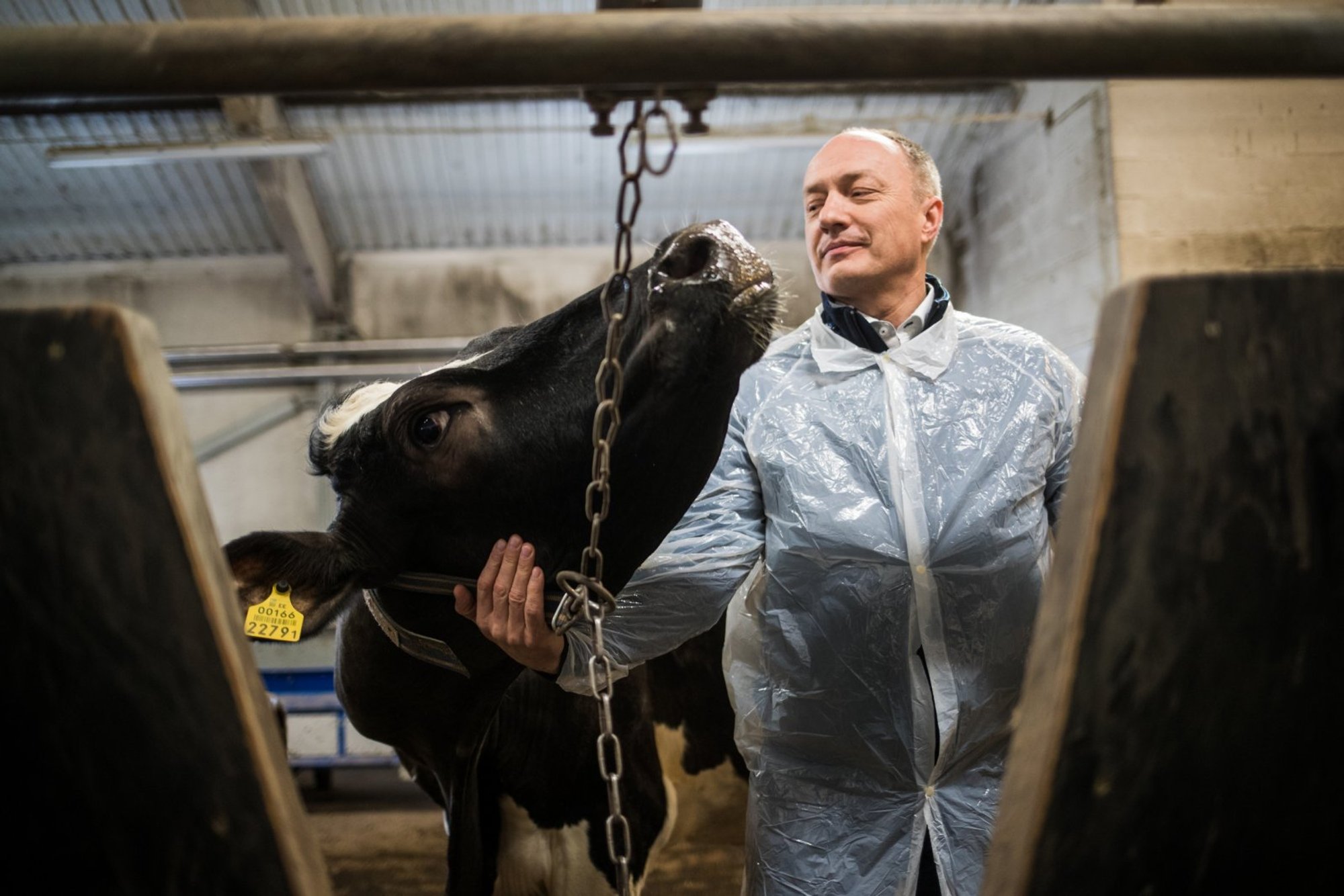 Maaülikooli instituudi direktorit kahtlustatakse riigihangete nõuete eriti suures rikkumises