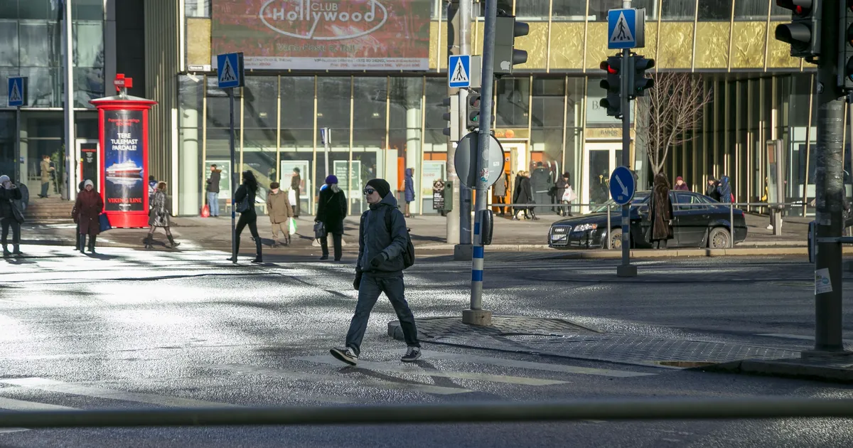 Auto sõitis otsa teed ületanud naisele ja tema koerale