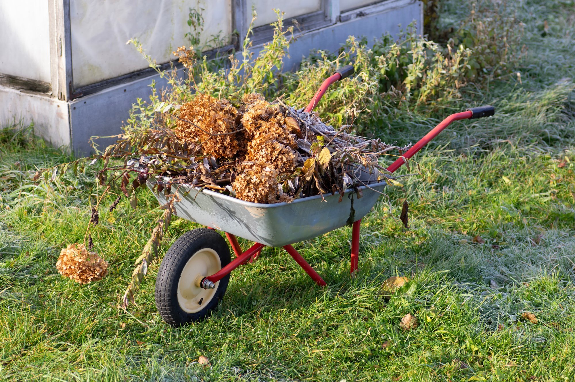 Valmista aed talveks ette: neli aiatööd, mida tasub teha enne külma saabumist