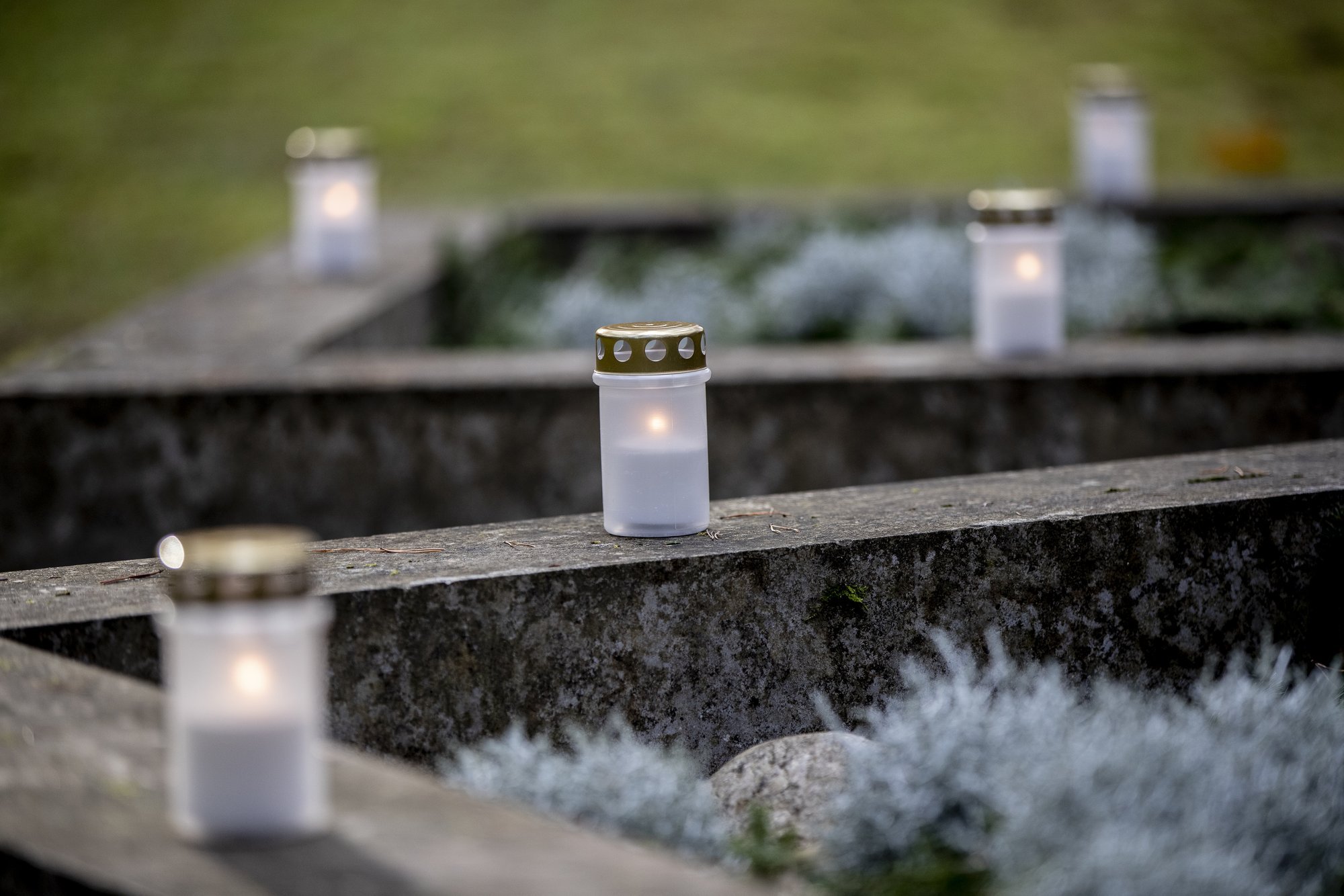 Milline jultumus! Vargad rüüstavad Eesti kalmistuid, pihta pannakse kõik vähegi väärtuslik