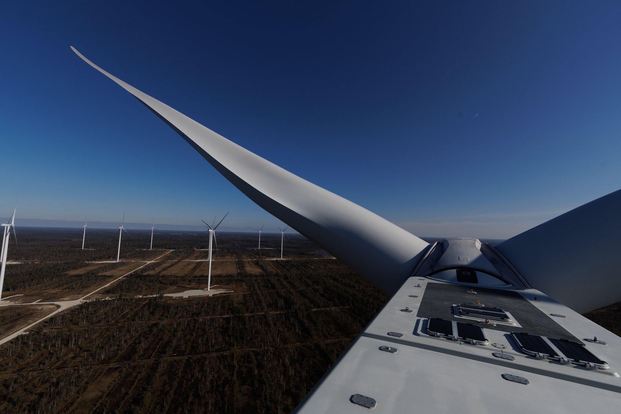 KODANIKUPÄEV | Maarja-Liisa Kapaun: head kodanikud, ärgem unustagem karjumismaitselises tuulikuvõitluses muid väärtusi