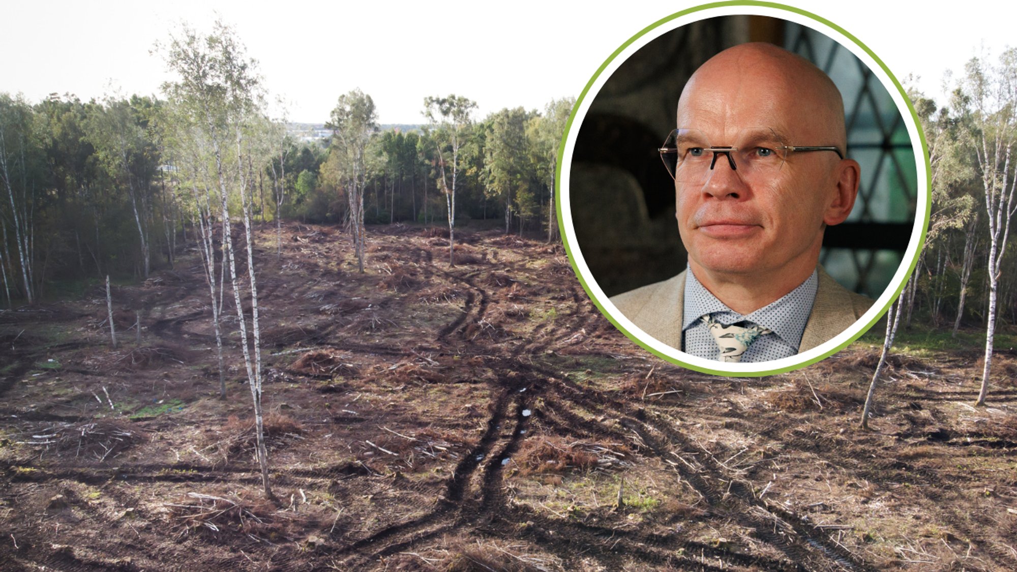 Allar Jõks: looduskaitsel ei ole ülimuslikku seisundit inimeste hakkamasaamise ees