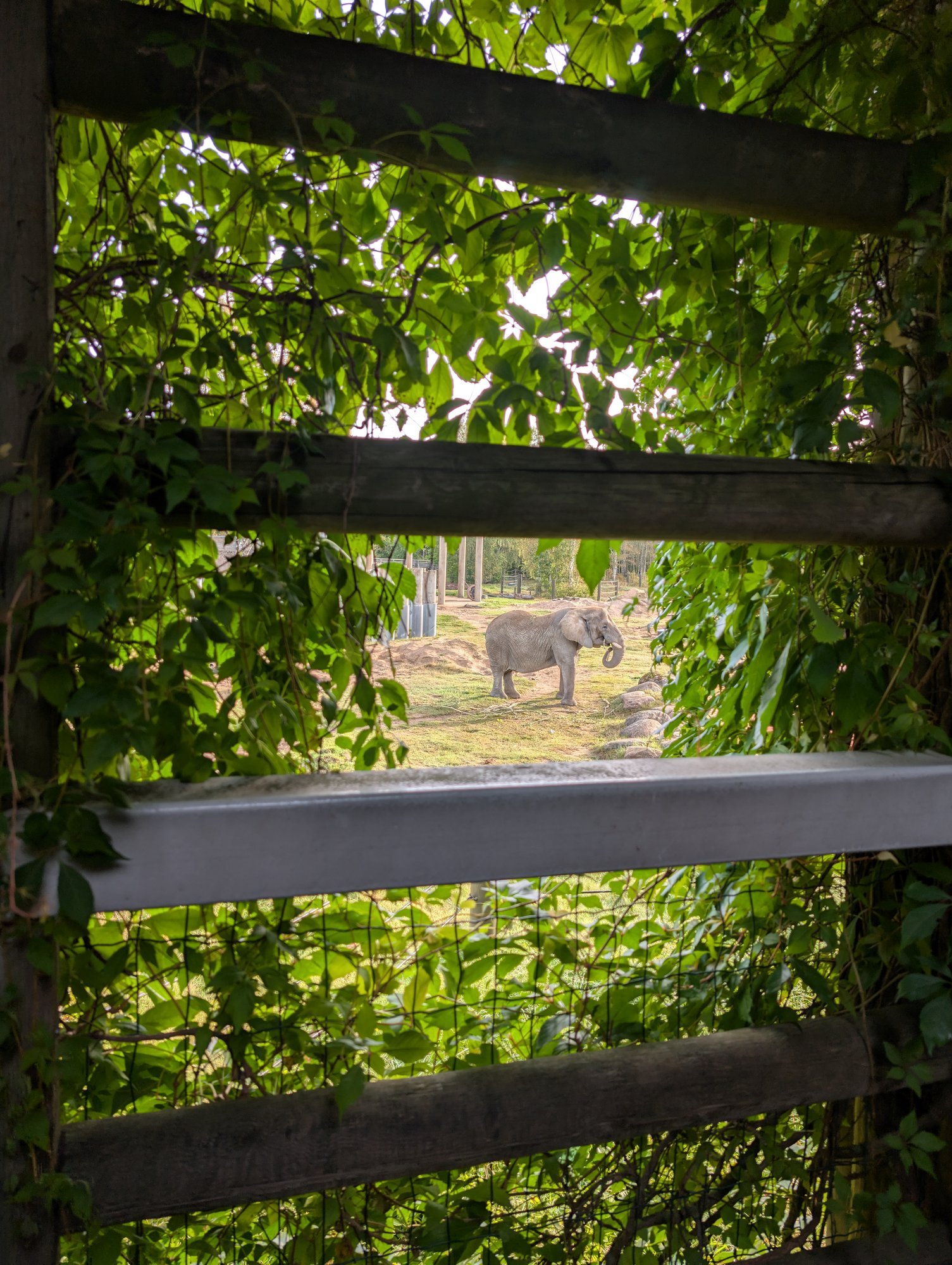 FOTOD | Imevahvad pildid! Vaata loomaaia fotokonkursi võidutöid