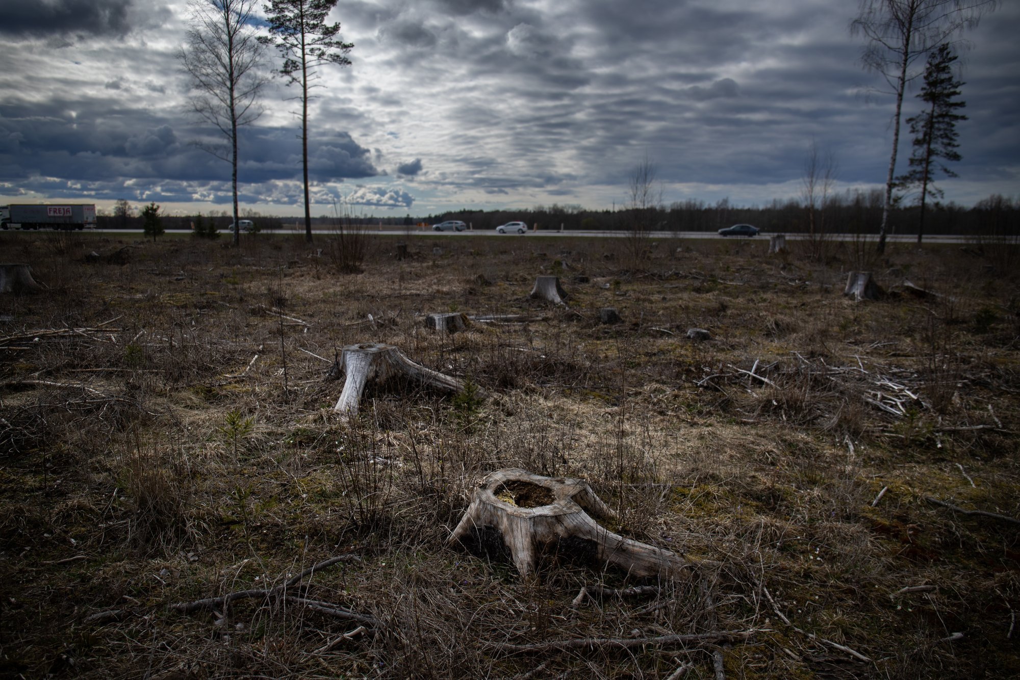 Euroopa looduse seis on halb, kuid Eesti paistab silma heade näitajatega