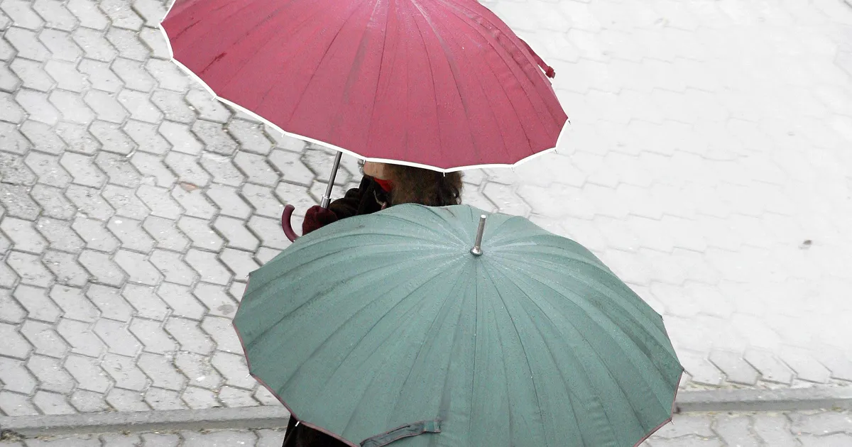 Reedel ilm oluliselt ei muutu