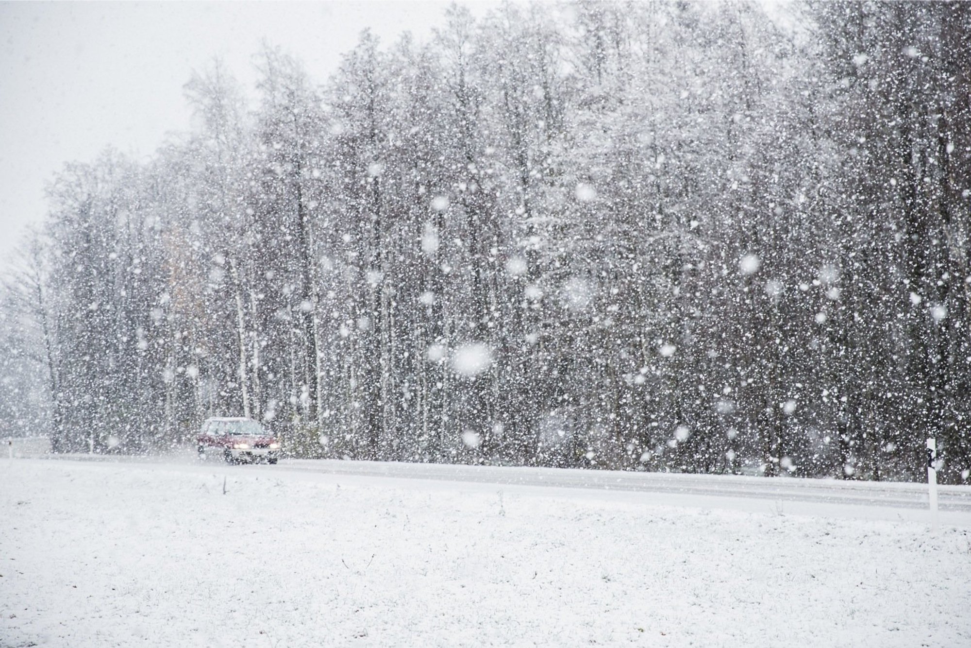 ILM | Hoiatus! Nädala lõpus on oodata miinuskraade, maha võib sadada kuni 4 cm lund