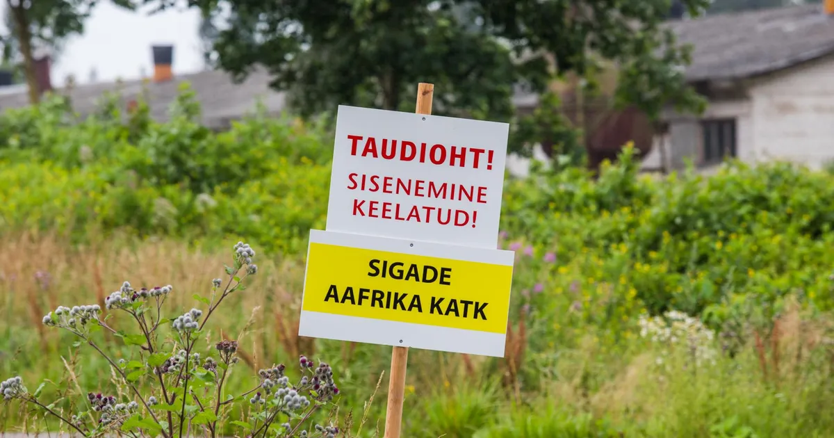 PTA soovib Viljandimaal asuva põllumajandusloomade matmispaiga lõpuniehitust