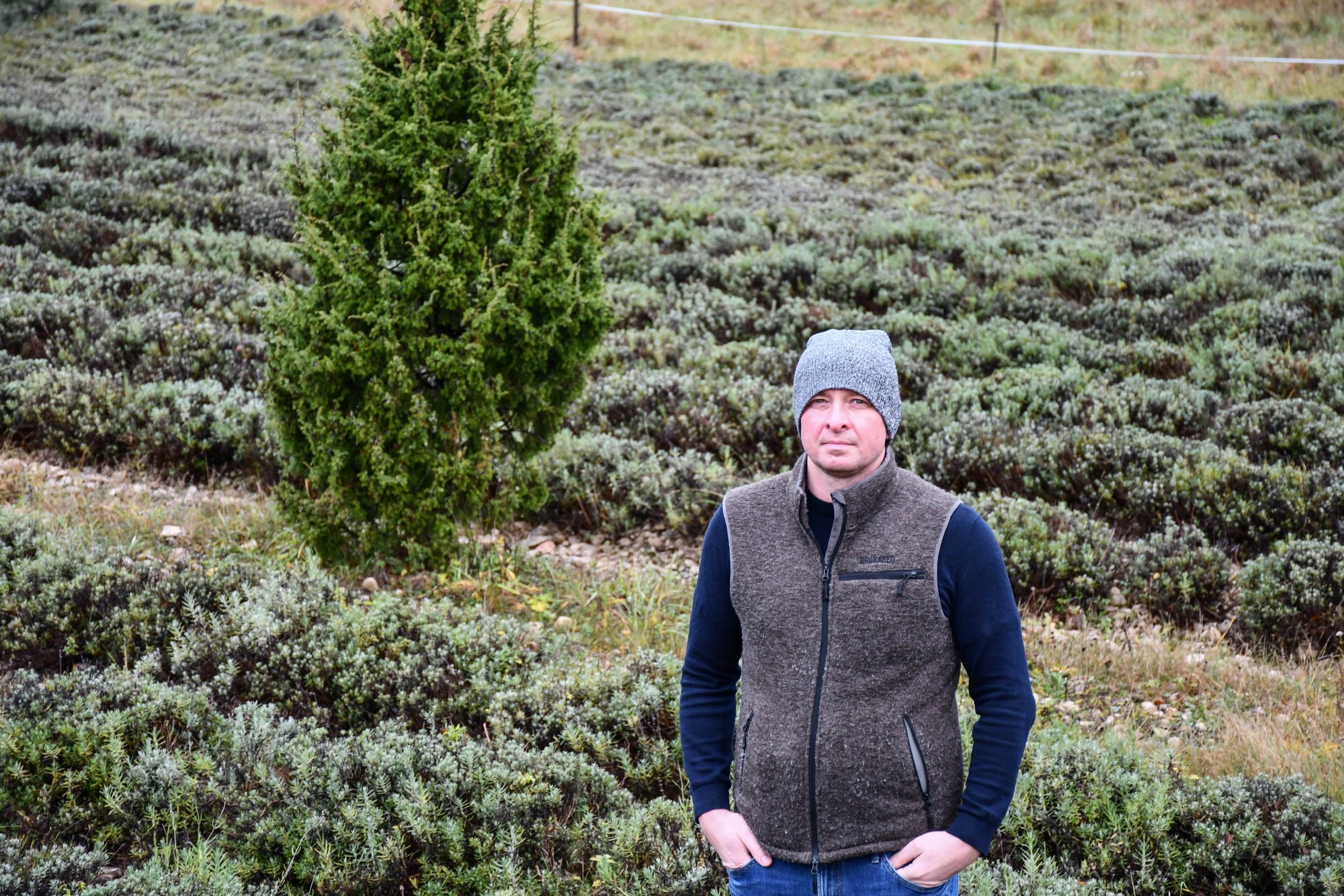 Kuulus lavendlitalu pole aastaga ostjat leidnud. „Me ei müü raha pärast“