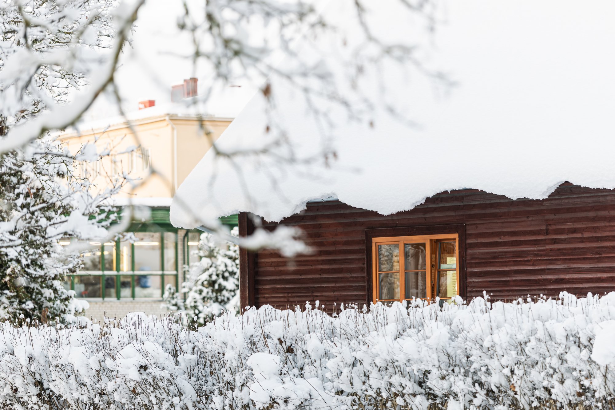 ILMATEADE | Üle Eesti sajab lund, vihma ja lörtsi. Ööpäevane oodatav lumelisa on kuni 5 cm