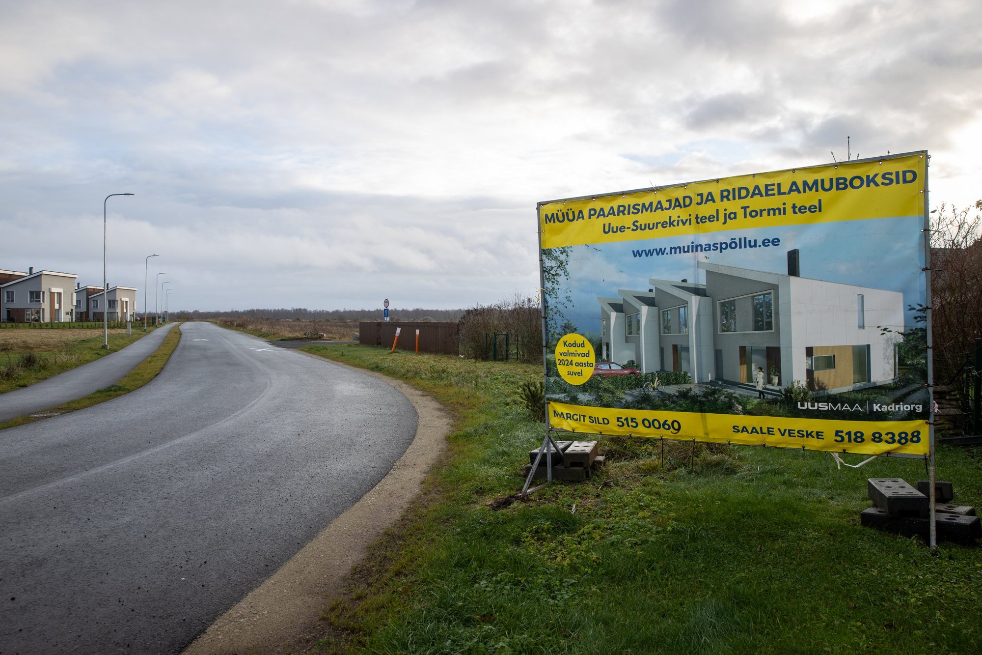 Uus Maa analüüsijuht: kallinev piima hind kandub edasi kinnisvaraturule