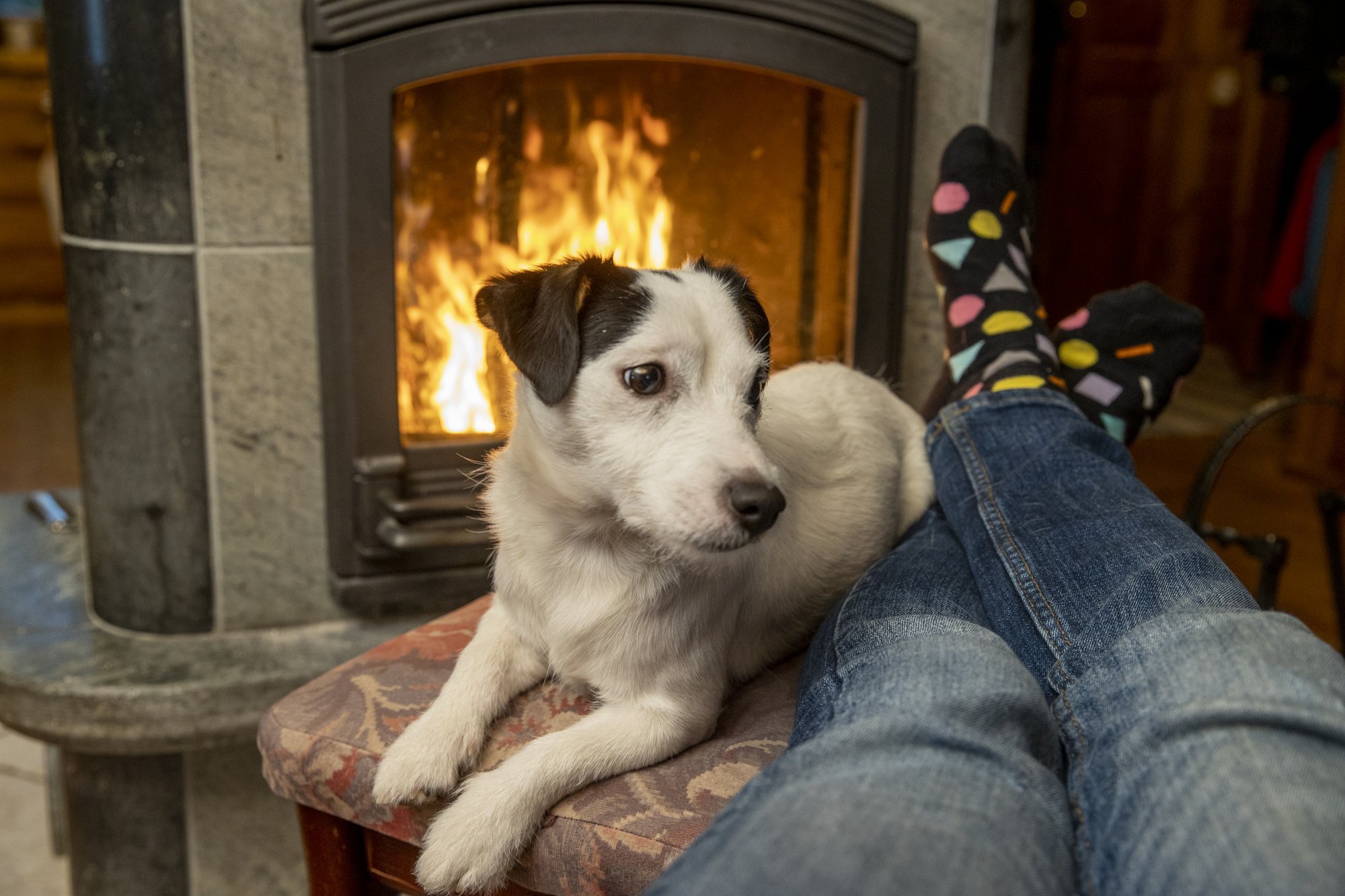 GRAAFIKUD | Euroopa elektri- ja gaasihinnad: kus maksab energia kõige rohkem?