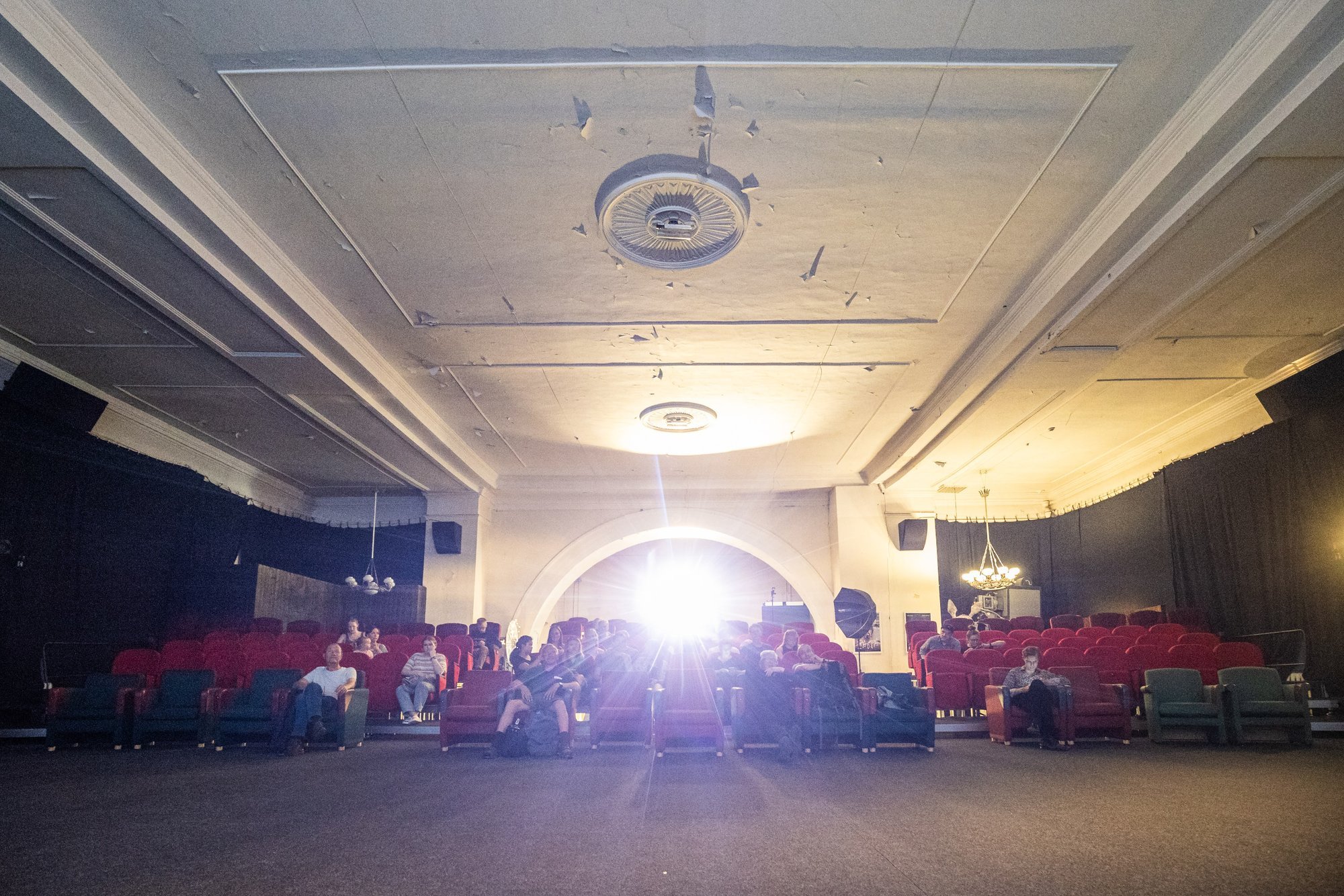 GUUD, BÄÄD & NÄDALA SÕNA | Maailma suurimas ämblikuvõrgus elab 111 000 rammusat ämblikku