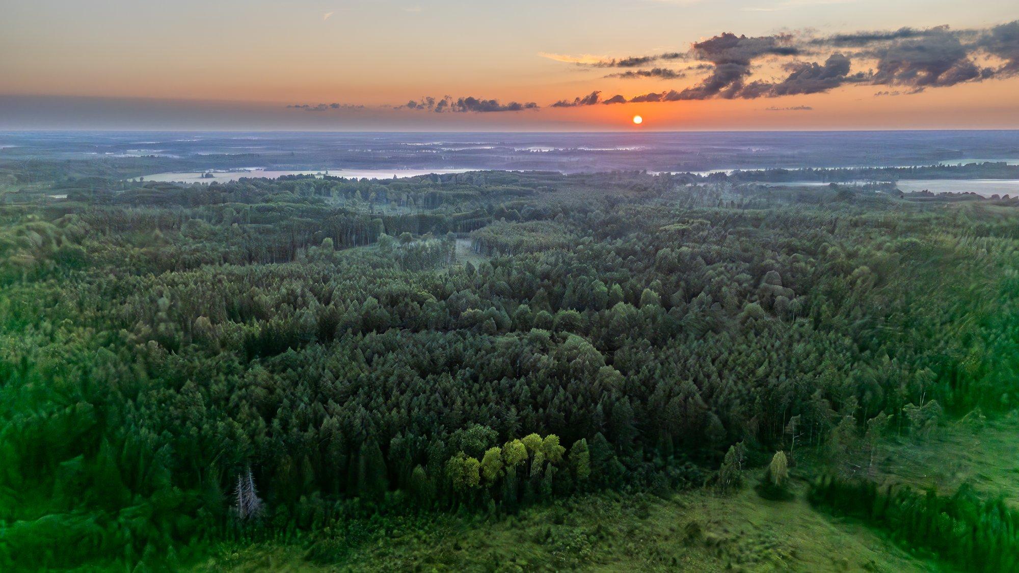 Tööandjad Eesti kliimapoliitikast: kliimakindla majanduse seadus on praegusel kujul läbikukkunud