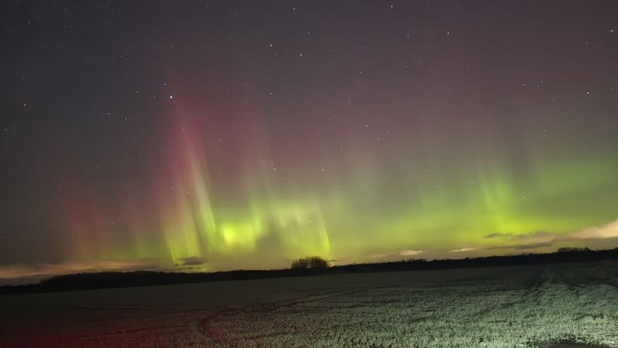 FOTOD | Pilk taevasse! Järgnevatel öödel helgivad taevas virmalised