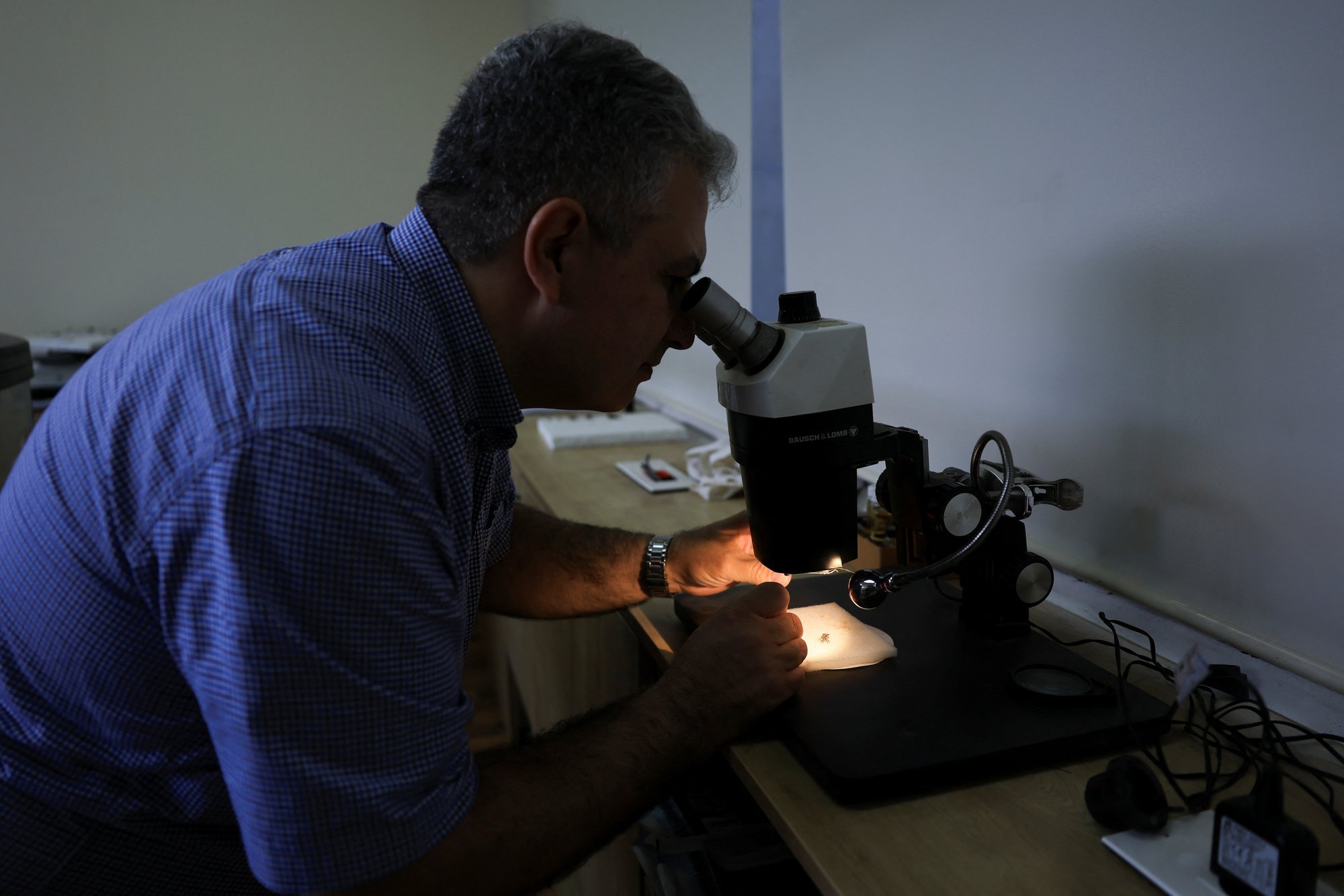 Üle 3 miljardi aasta vanustest kivimitest avastati elu jäljed. See muudab senist arusaama Maa ajaloost