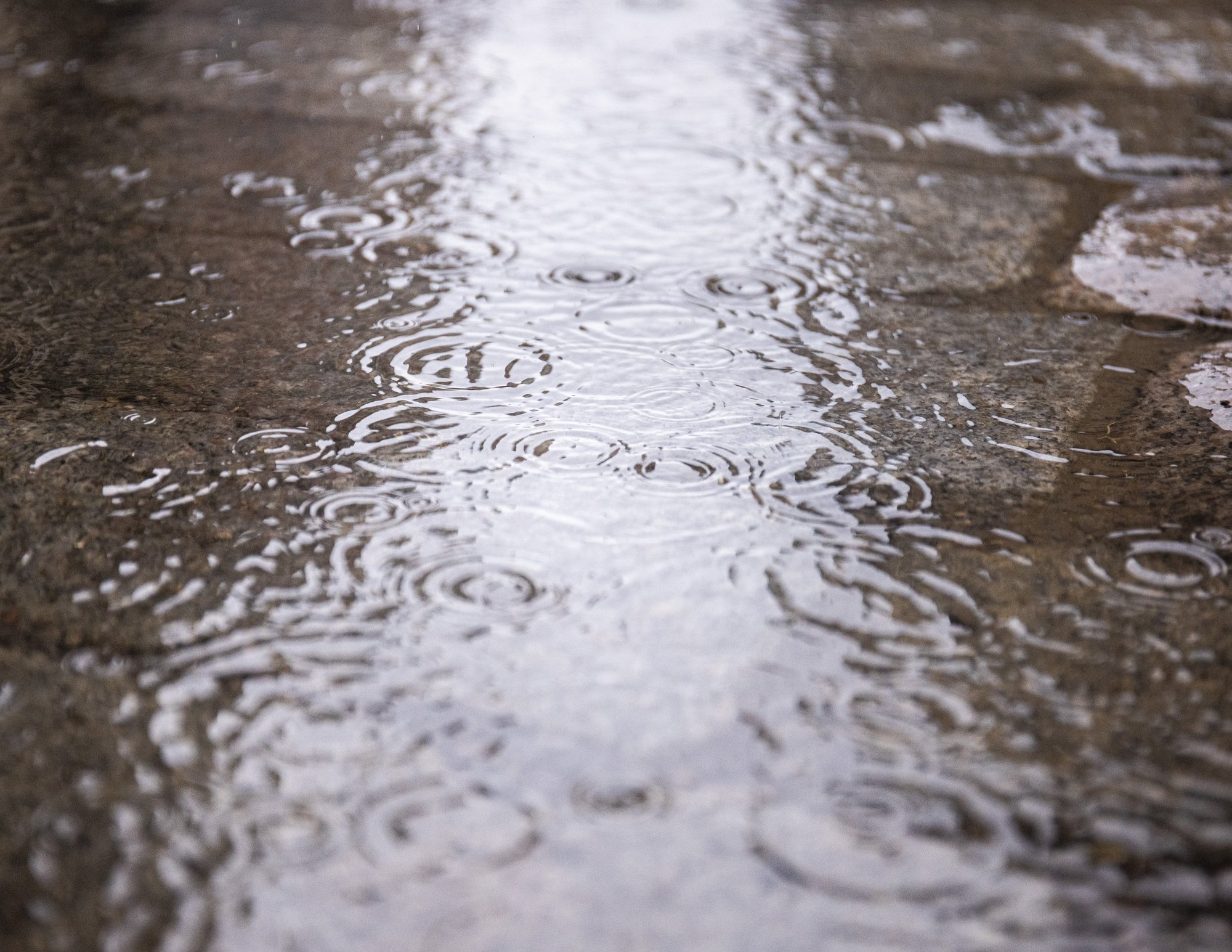 ILMATEADE | Tugevad vihmahood ei lõppe ka uuel nädalal