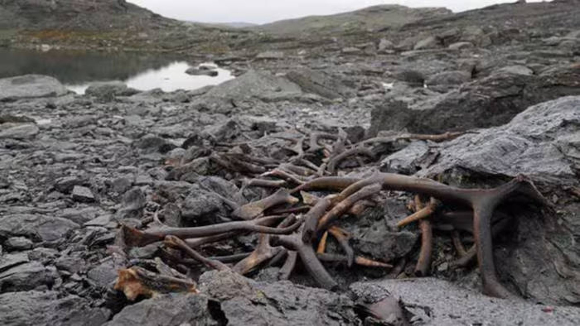 Norra mägedest sulasid välja põhjapõdralõks ja puidust aer