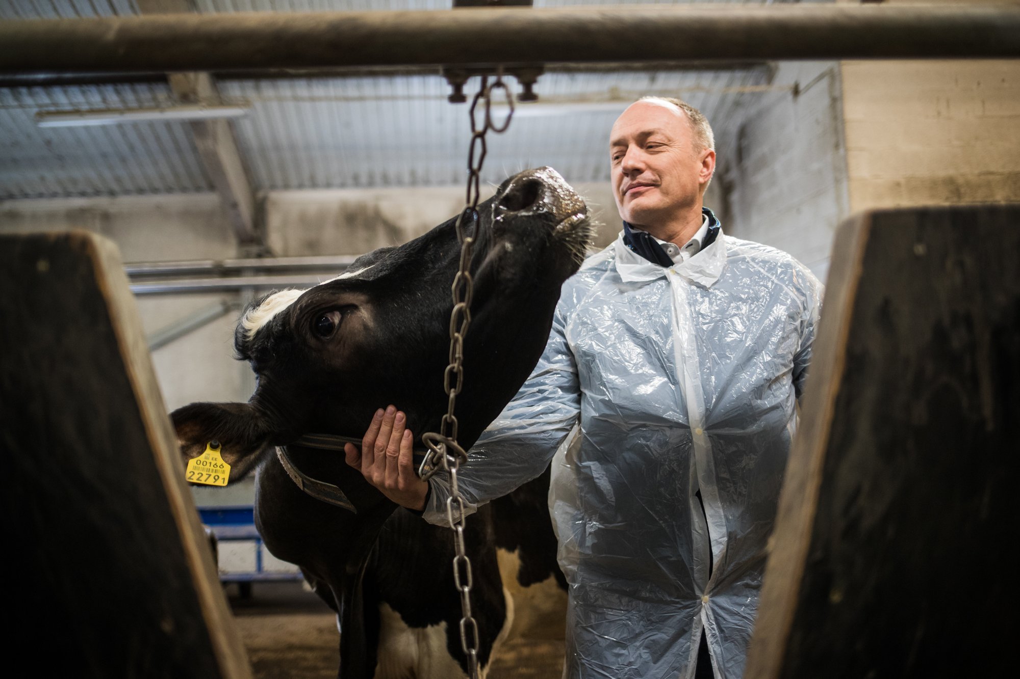 Maaülikooli instituudi direktor Toomas Tiirats politsei kahtlustusest: mina endal süüd ei näe