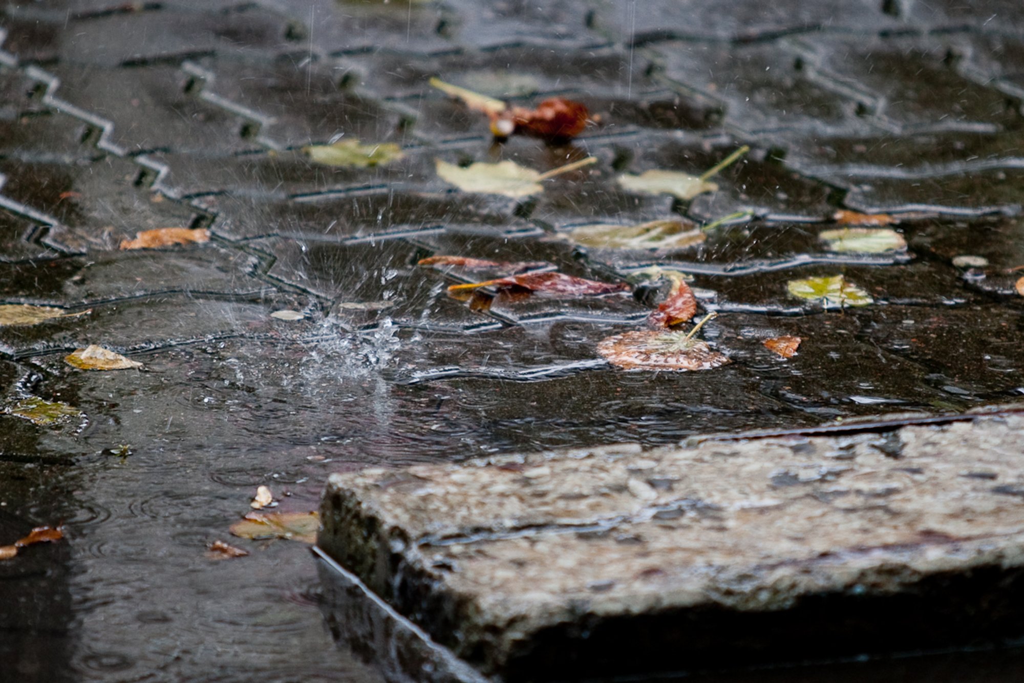 ILMATEADE | Õhtul katab osa Eestit tihe vihmasadu
