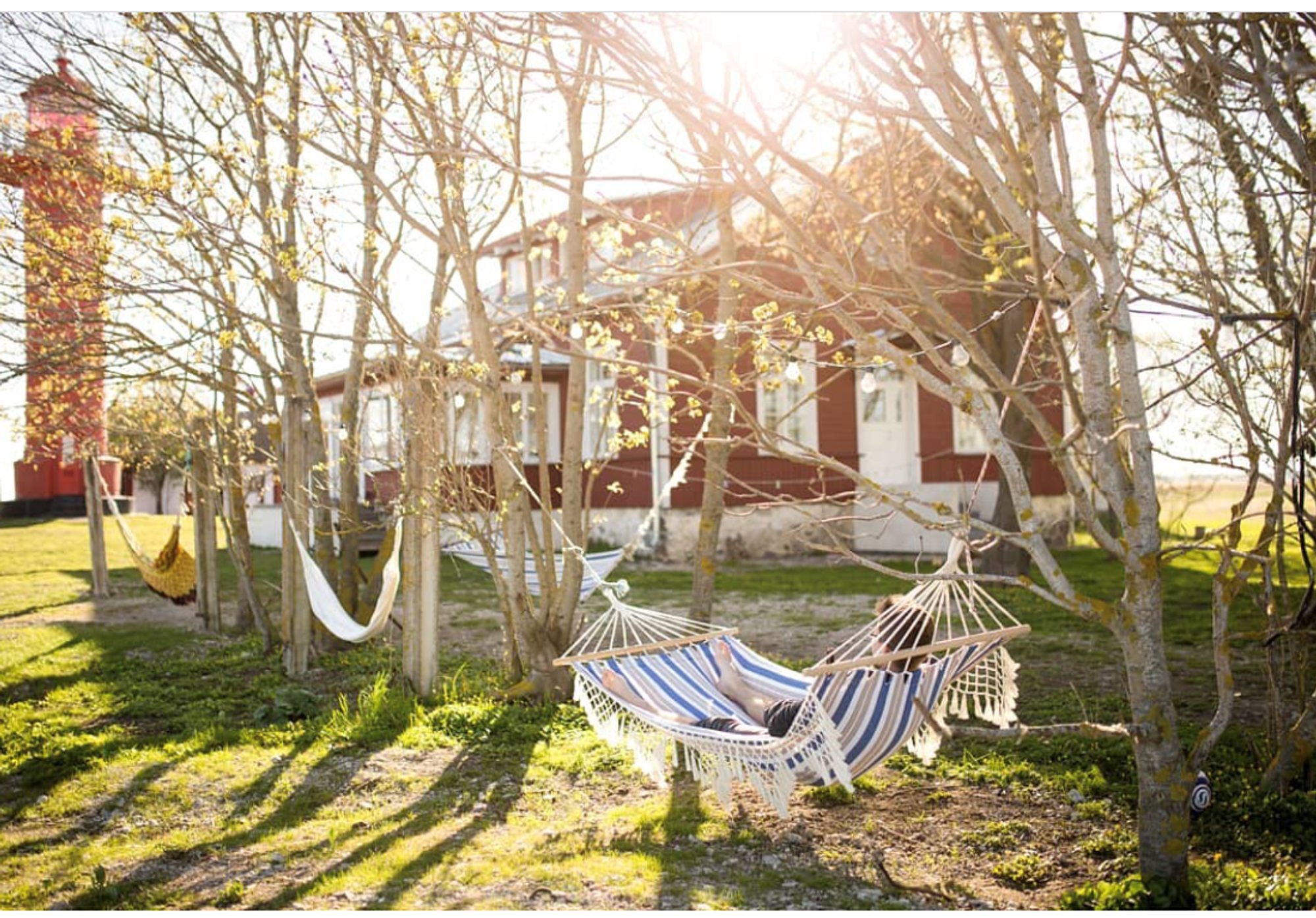 Liiga palju inimesi. Keskkonnaameti soovitus tõmbaks Viirelaiu puhkekeskuse tipphooajale kriipsu peale