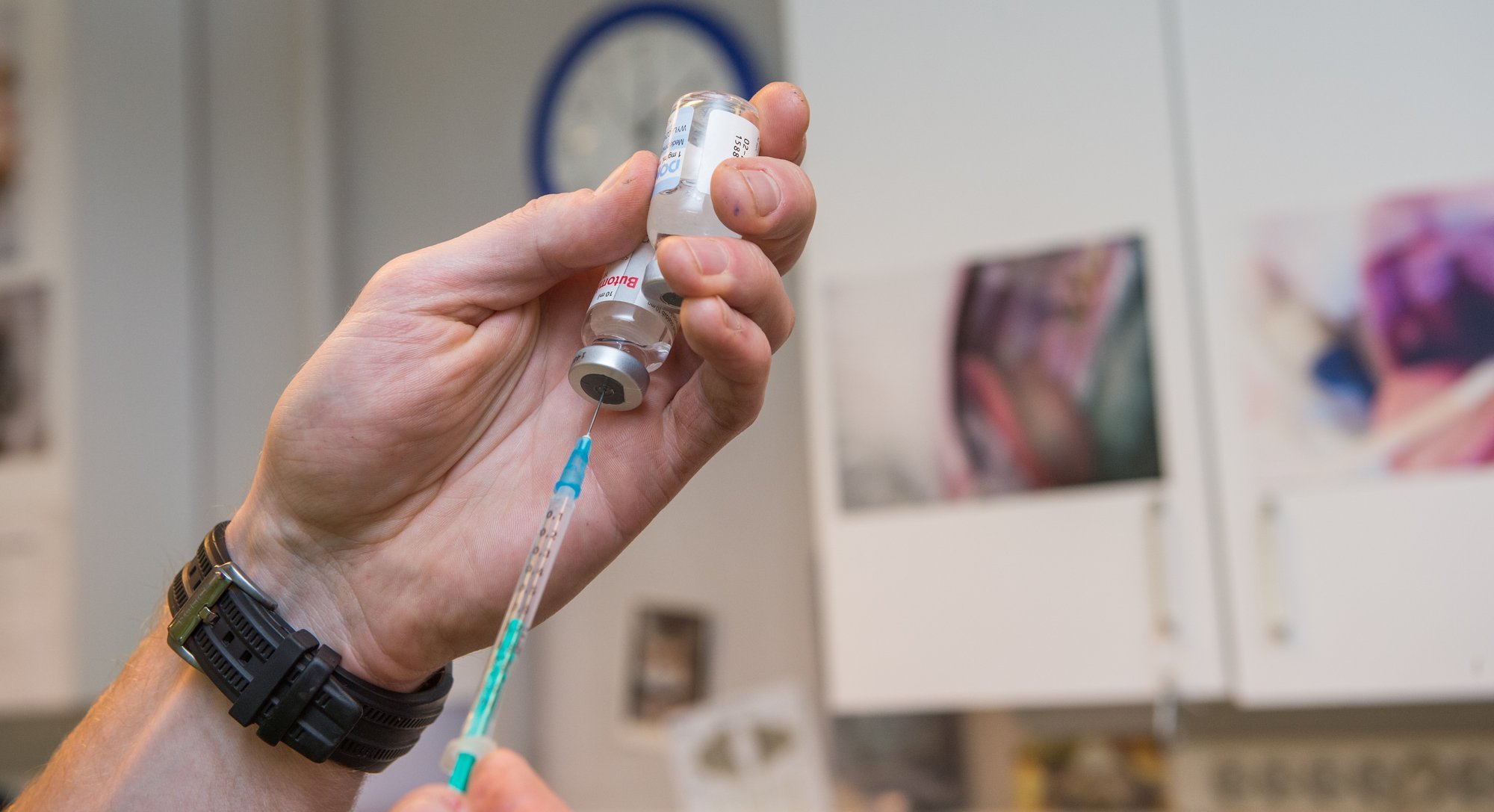 Tiina Toomet: kui loomaarst ei ole enam looma advokaat, kes siis on? Loomadel on õigus eutanaasiale!