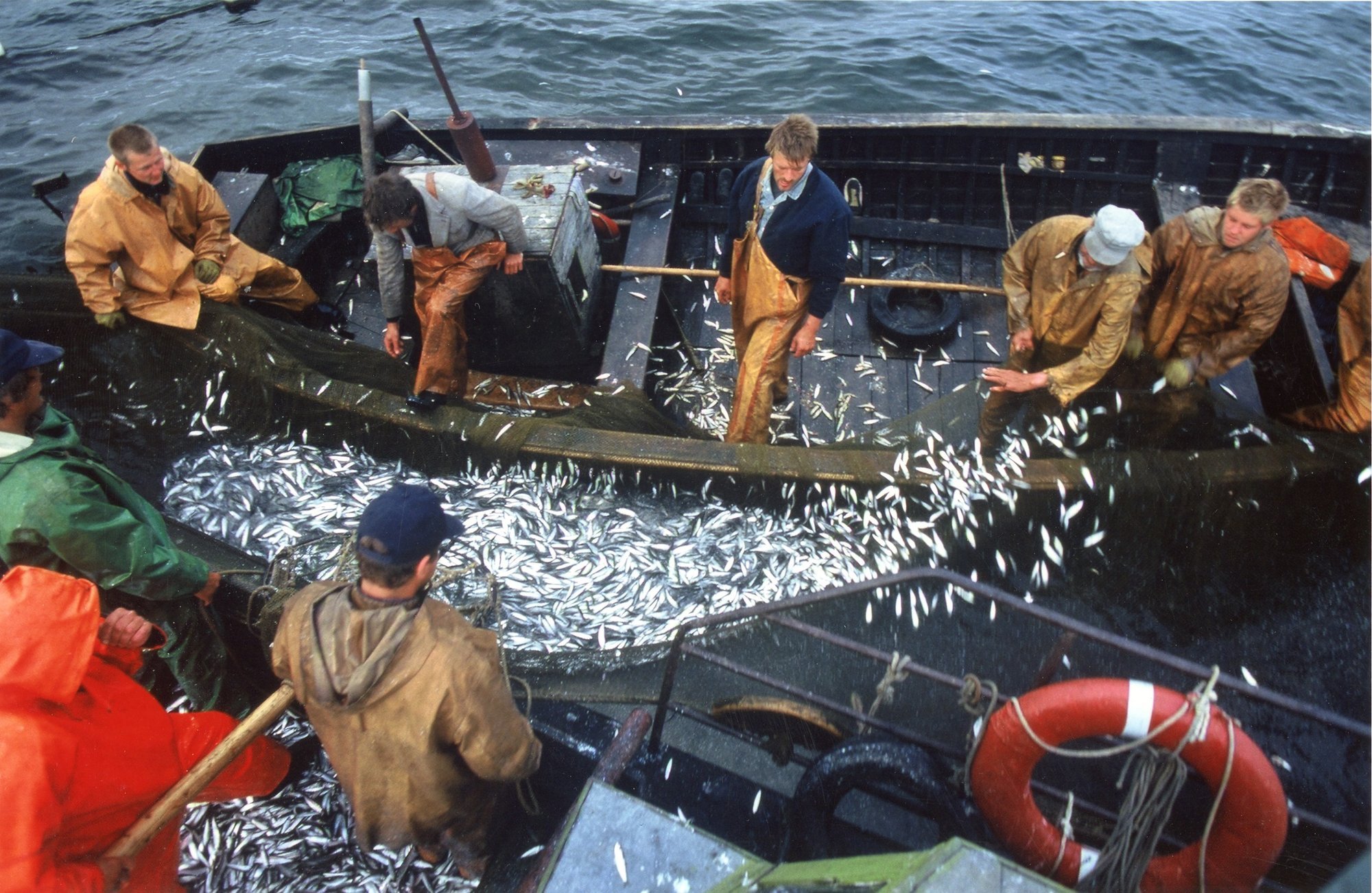 Tööstustoodangu tootjahinnaindeks tõusis aastaga 0,6%