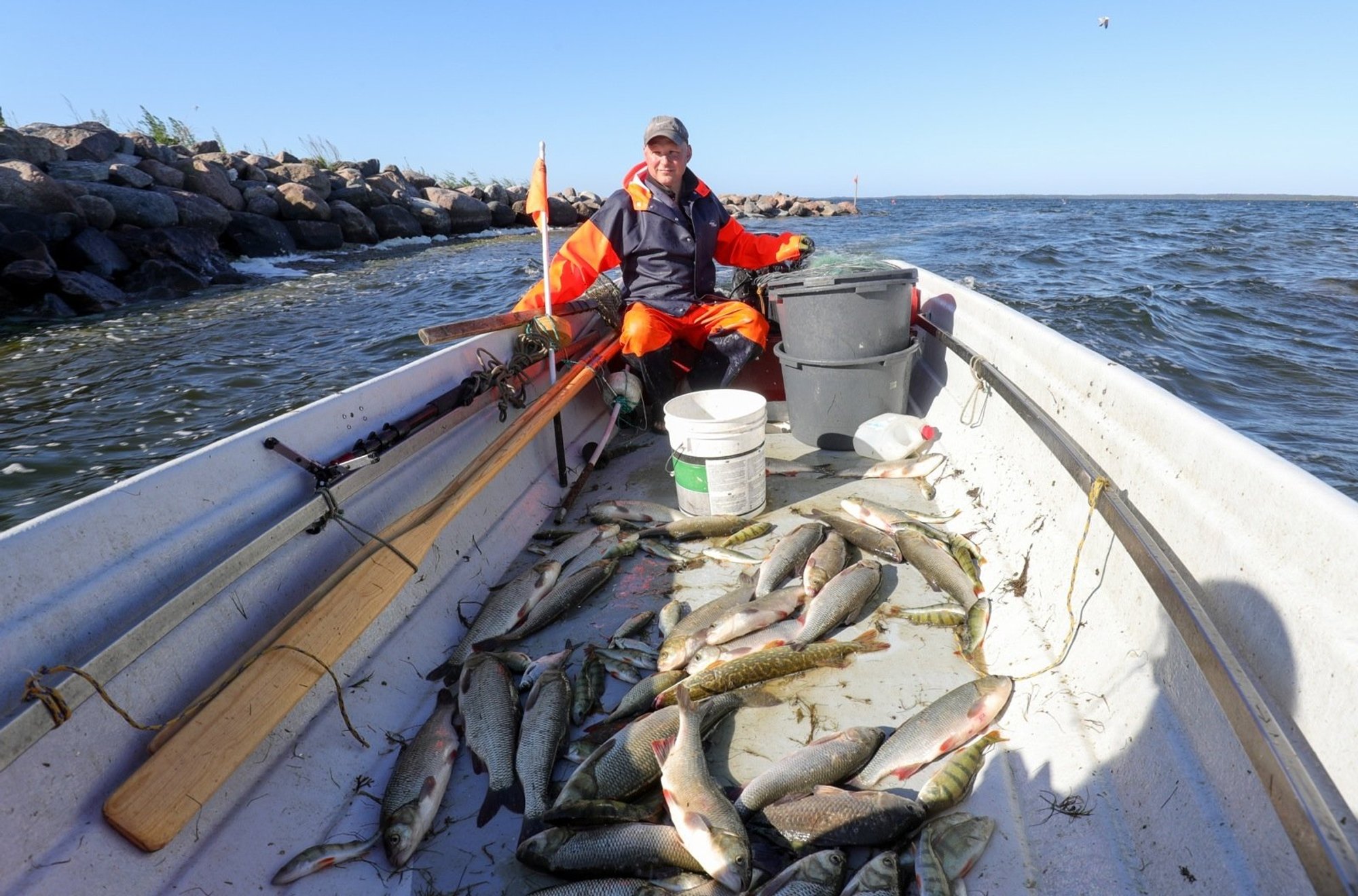 „Avastasin ühel hommikul, et rikun seadust, mille olemasolust mul aimugi ei olnud“