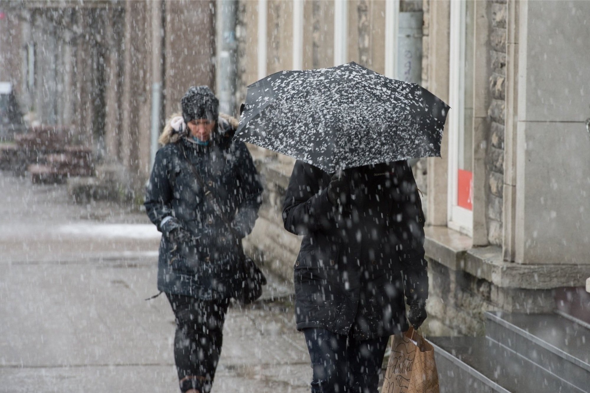 ILMAPROGNOOS | Lähipäevad toovad nii tormituult kui tugevat sadu