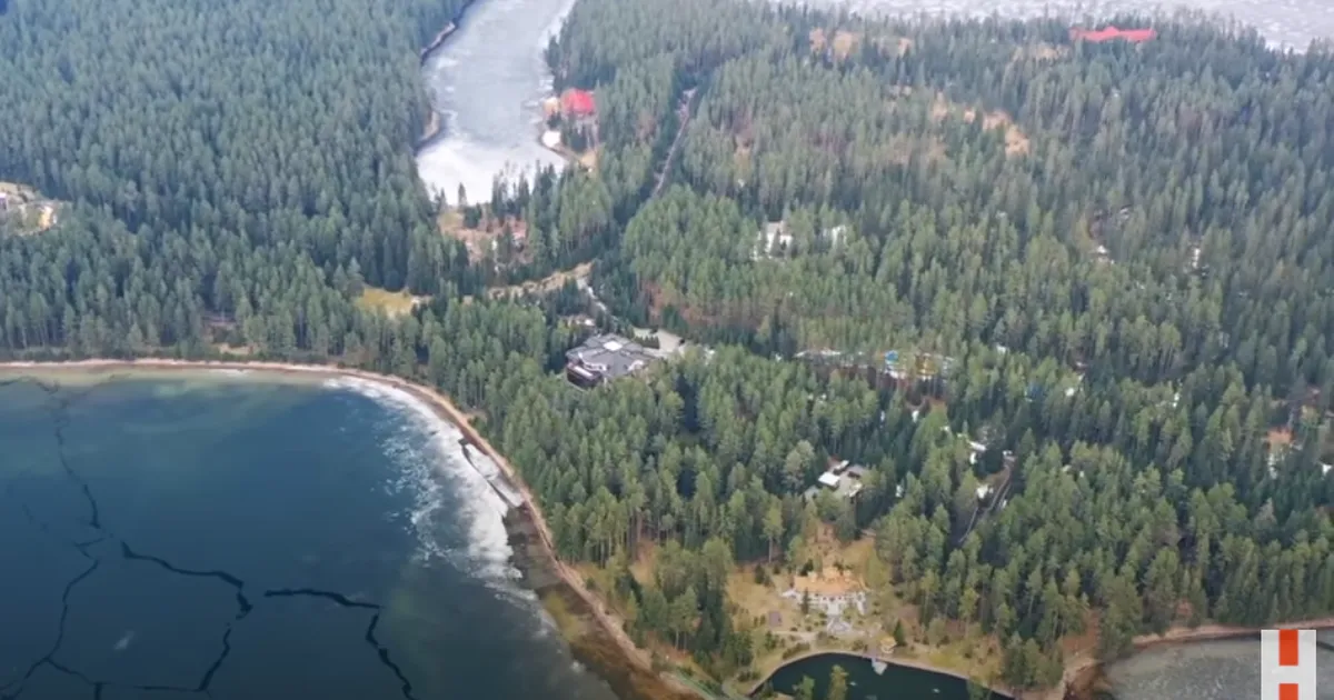 DROONID PUTINI PIHTA ⟩ Appi, Donald, nad ründavad mu lapsi!