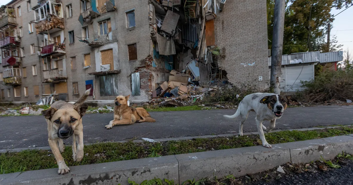 NIKOLAI KARPITSKI ⟩ Elukogemus rindeäärses linnas – loodad lihtsalt, et järgmine mürsk, droon või pomm sind ei taba