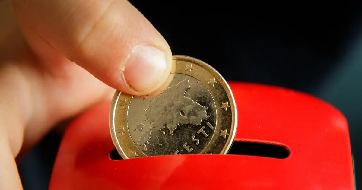 SÄÄSTUNIPP ⟩ Noor mees hoidis vanemate juures elades kokku kuuekohalise summa