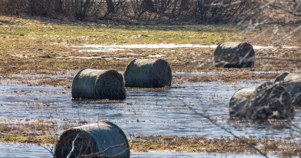 AARE LAHT ⟩ Miks me laseme heinarullidel õnnetult põldudel kössitada? See on tuleviku küte