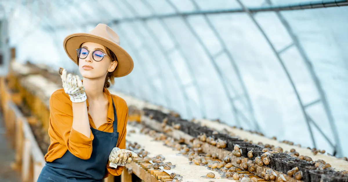 KOHUTAV ⟩ Prantsuse teokasvatajat tabas pühade eel valus kaotus