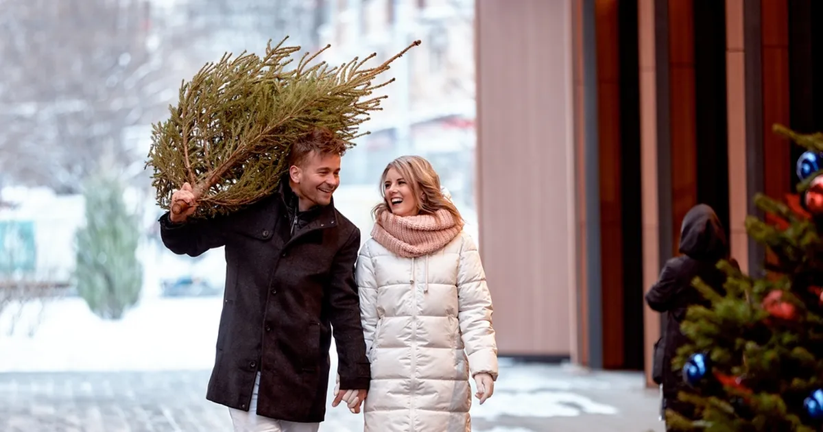 PÄRIS VÕI KUNST? ⟩ Sisekujundaja jagab, kuidas valida enda kodu jaoks õige kuusk