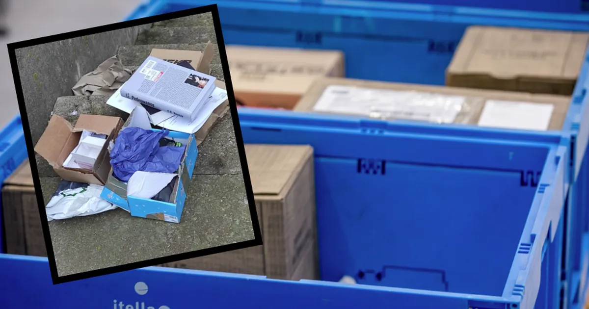 MÜSTEERIUM ⟩ Tallinlane leidis kodu lähedalt avatud pakid: väärtuslik kraam oli varastatud...