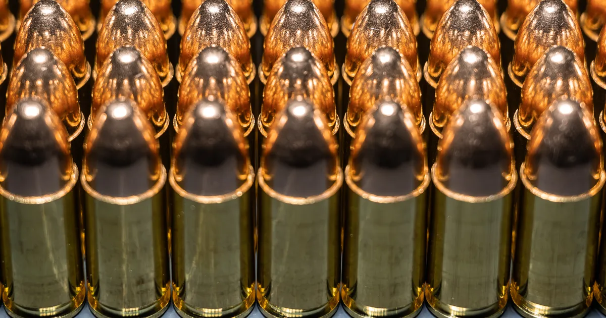 Bundeswehri laskemoonasaadetis langes röövlite saagiks