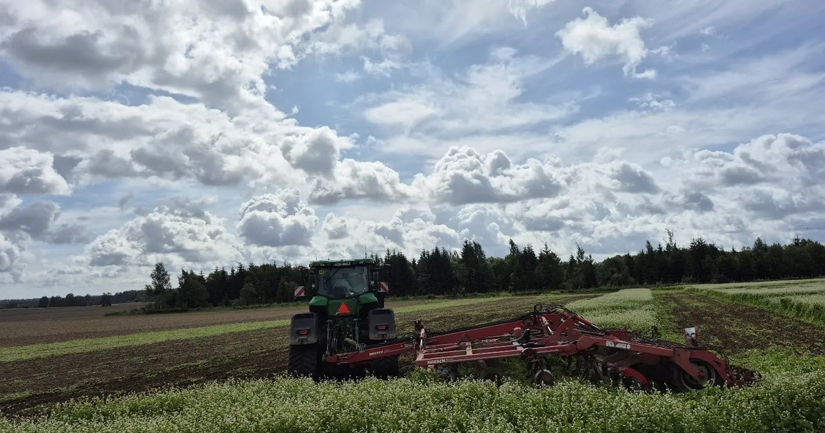 Läbimõeldud külvikord vähendab riske