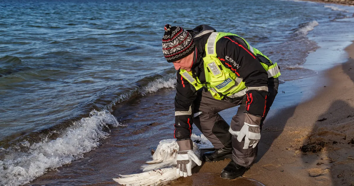 Põllumajandus- ja toiduameti tippjuht jäi võltsimises süüdi ka teises kohtuastmes
