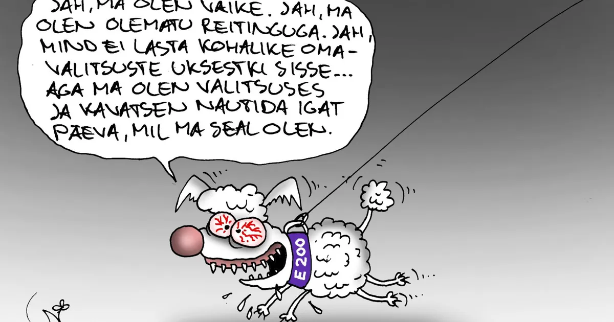 JUHTKIRI ⟩ Kohaliku võimupiruka jagajad