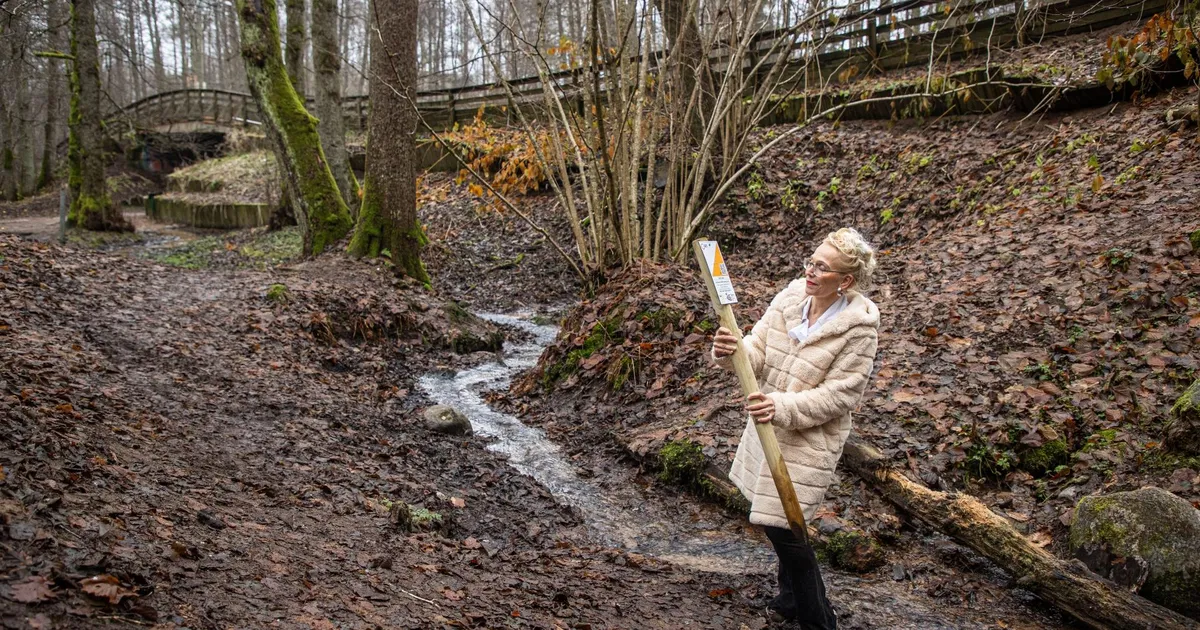 Tallinna kuulsaima allika külje all läheb ehitamiseks