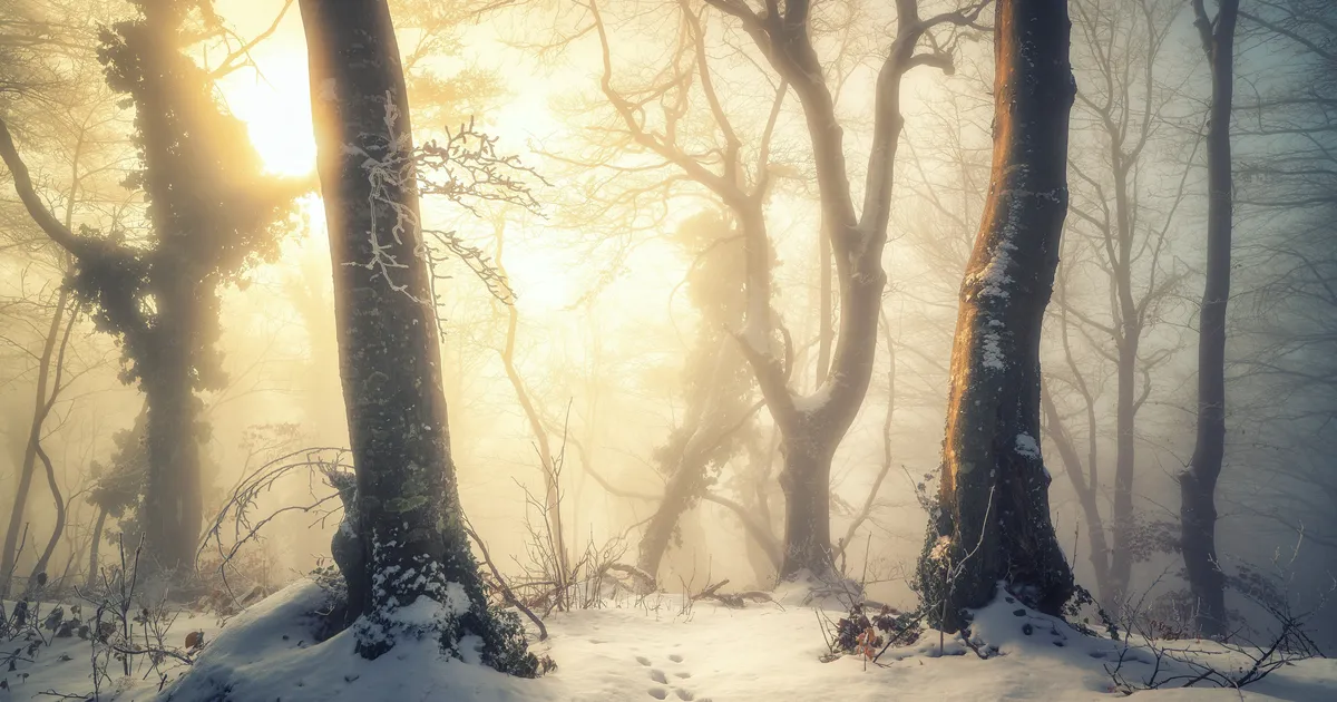 DETSEMBRI HOROSKOOP ⟩ Kuu teine pool toob paraku väljakutseid: aastalõpp võib olla murelik