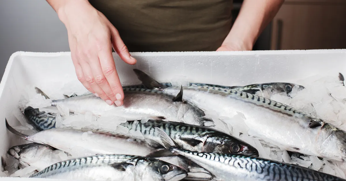 UNUSTA ÄRA ⟩ See on halvim viis sügavkülmutatud kala sulatamiseks
