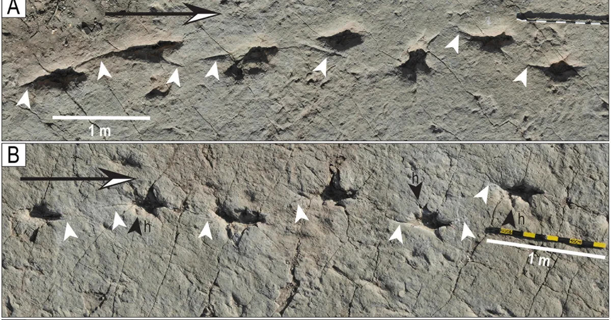 Sel platsil tantsisid saurused ilmselt vaid mõned tunnid – aga siin see on