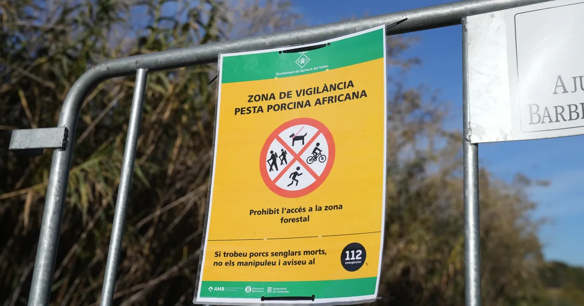 Hispaania ei välista seakatku puhangu põhjusena laborileket