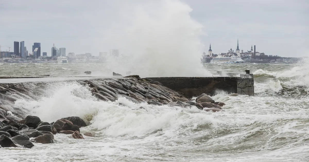 Osa merealast sai tugeva tuule hoiatuse