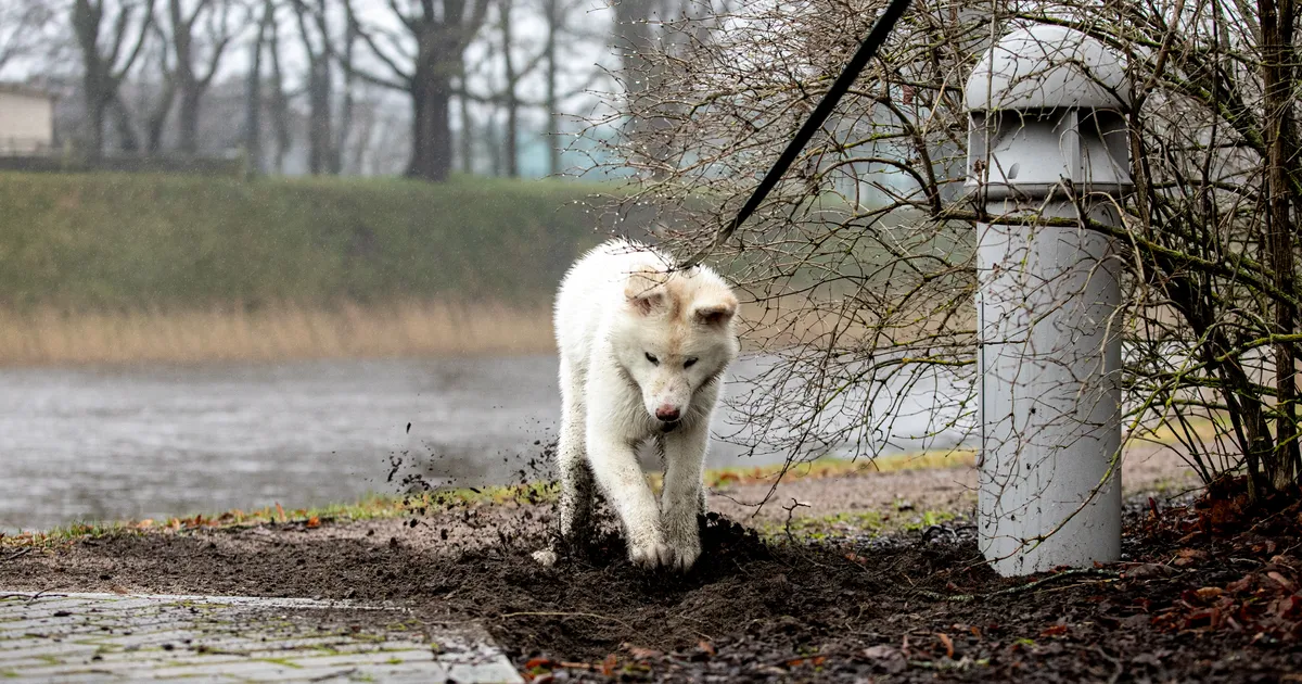Pühapäevane ilm tuleb sombune